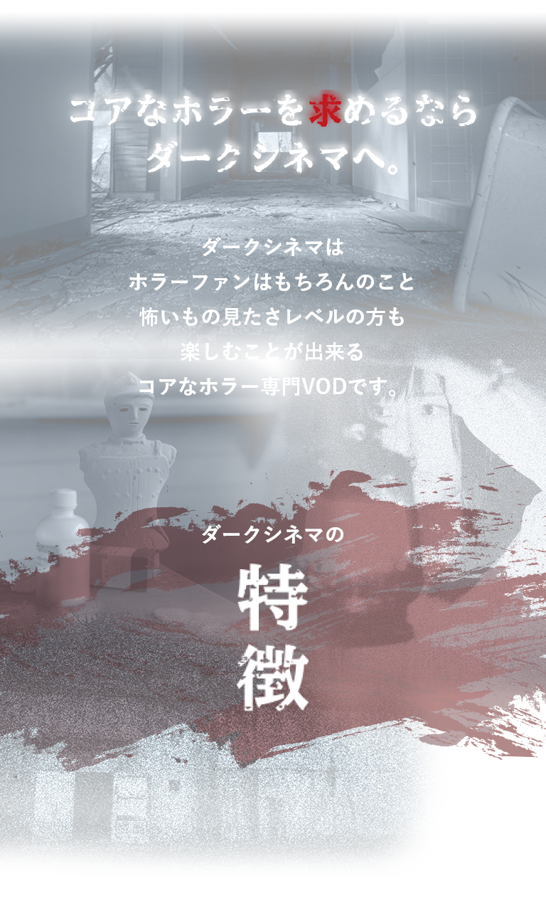 特徴